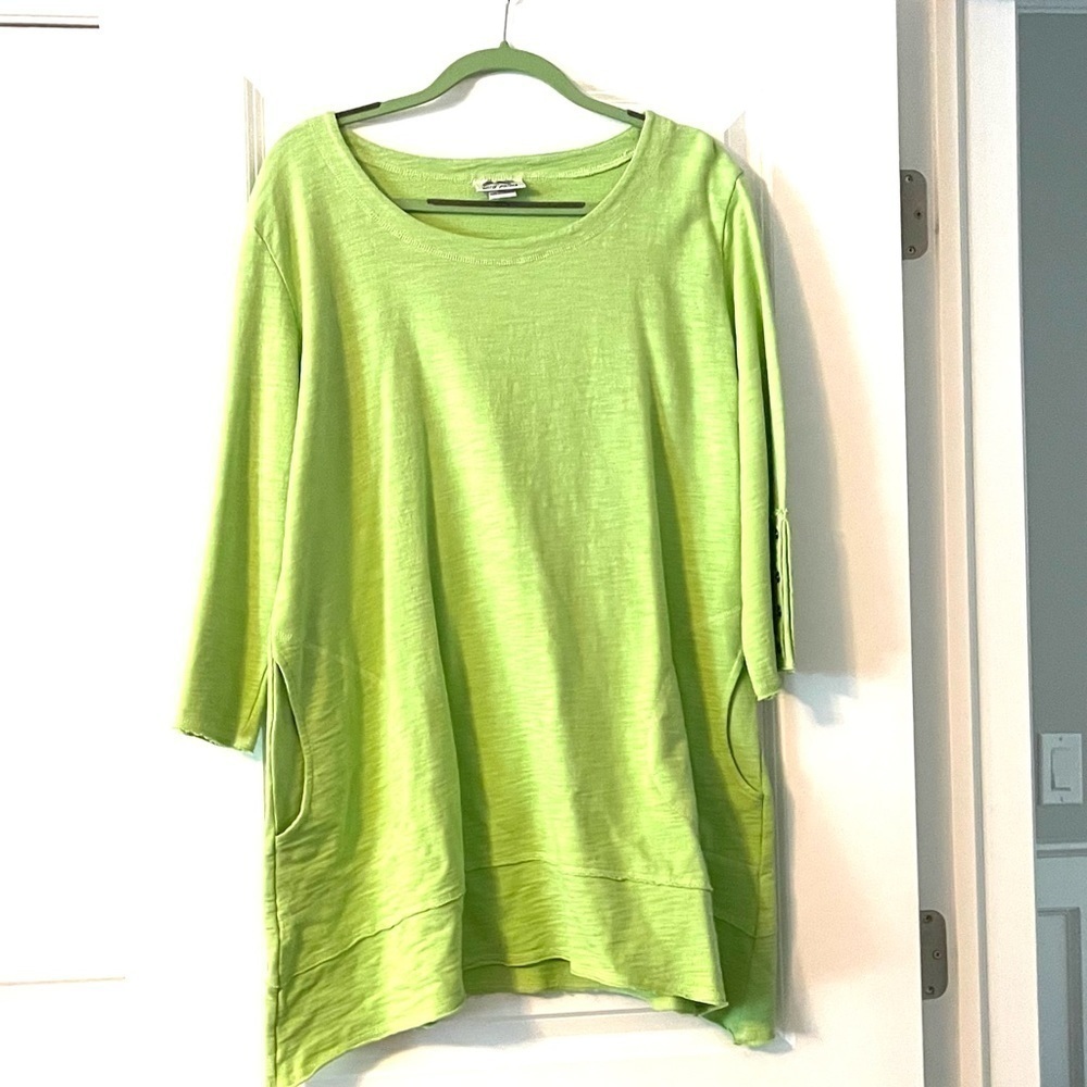 Wild Palms Tunic Top